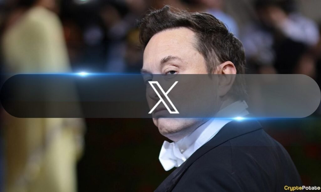 Elon Musk Confirms Early Public Access Launch of X Money Next Month